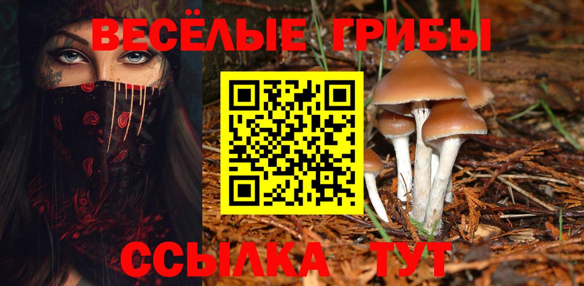 Псилоцибиновые грибы мицелий Новороссийск